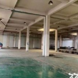 出租层高6米标准厂房