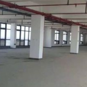 雷甸开发区新建厂房出租出售