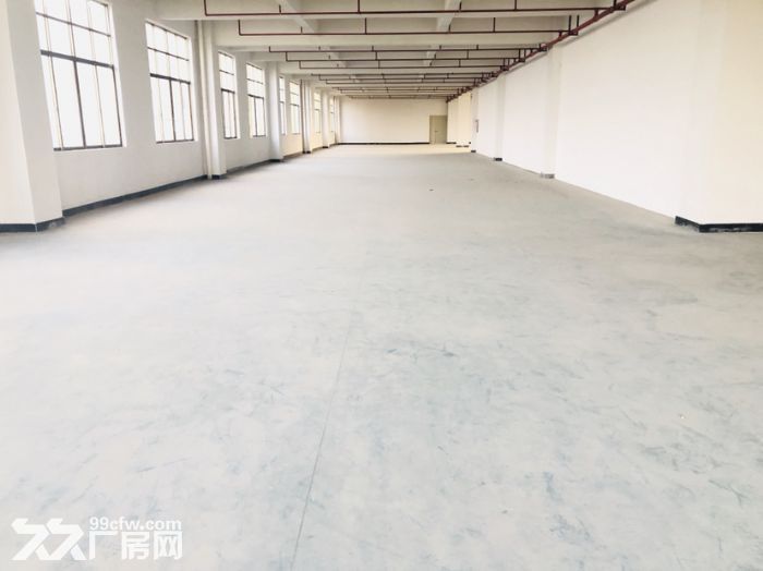 出租雷甸和平工业区独门独院1&minus;3层4220方厂房-图4